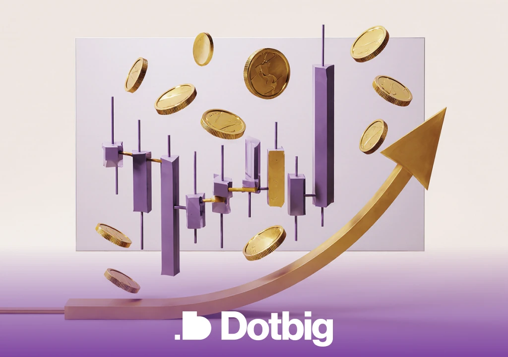 Exit Strategies for Venture Investments with DotBig